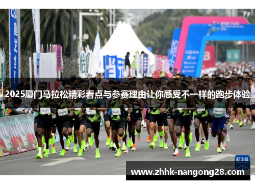 2025厦门马拉松精彩看点与参赛理由让你感受不一样的跑步体验